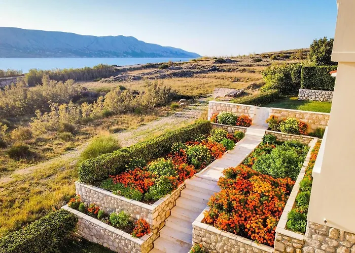 Pag 6291c * Pag Town